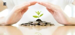 Read more about the article Wealth Preservation Strategies: Building Long-Term Financial Security and Stability